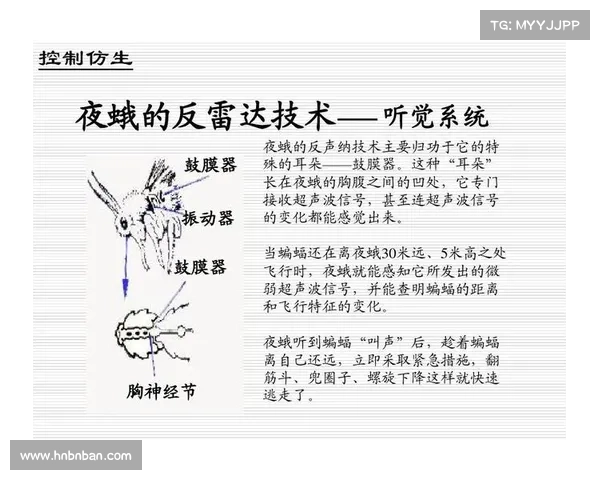 冰虫鳞片结构与功能的最新研究进展及其在生物仿生领域的应用探索 冰虫鳞片结构与功能的最新研究进展及其在生物仿生领域的应用探索