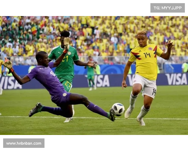 全面指南教你查询中国足球与巴西历史交锋记录途径详尽方法解析 全面指南教你查询中国足球与巴西历史交锋记录途径详尽方法解析